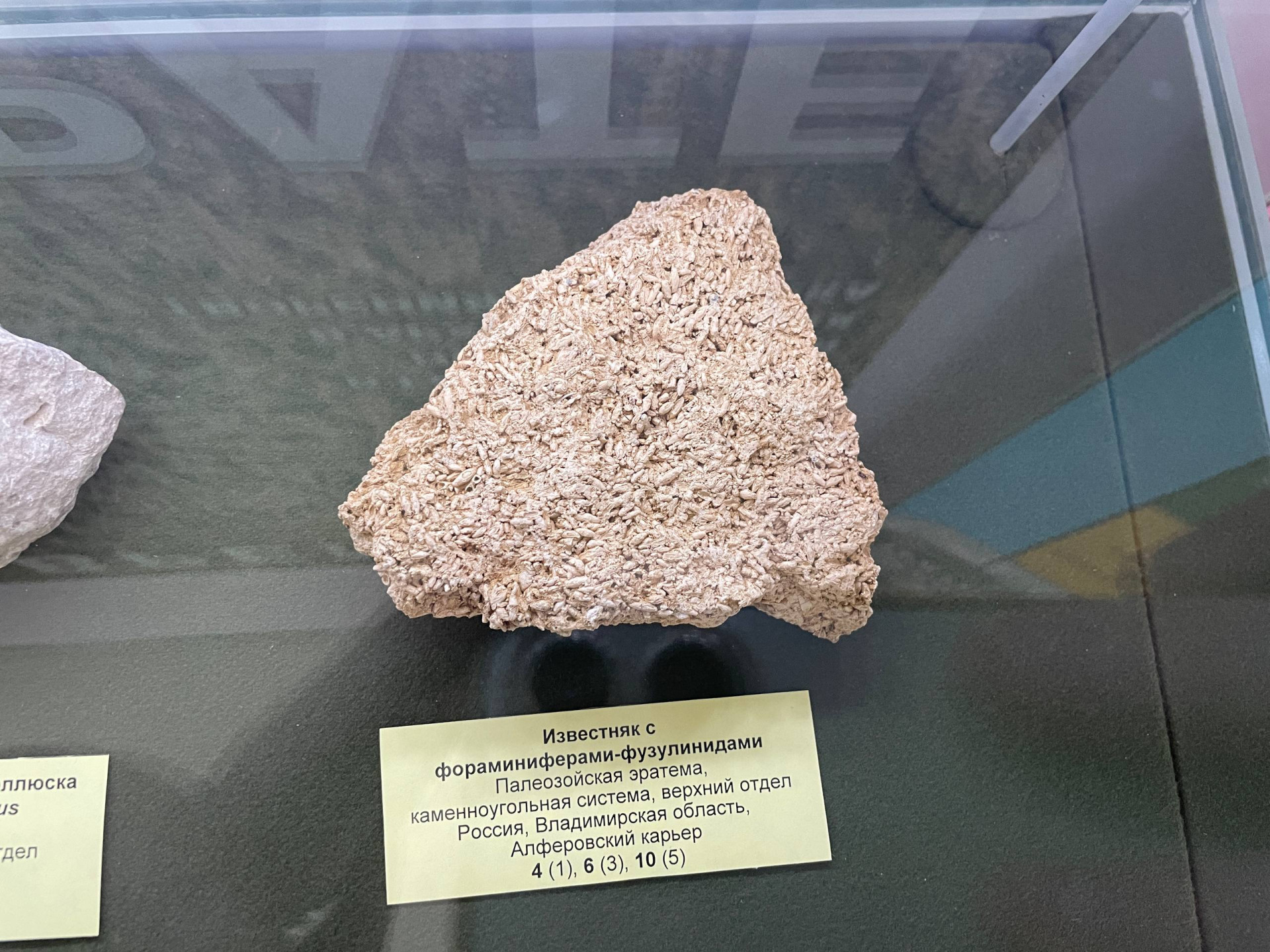 Фото: Тульская служба новостей