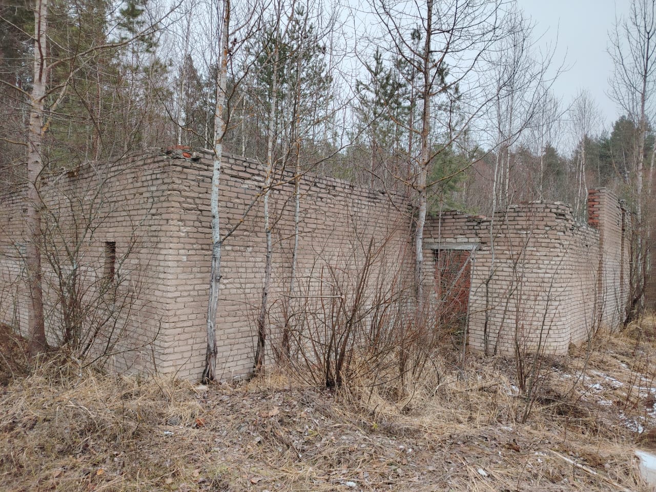 Фото: ГКУ ТО «Центр организации закупок»