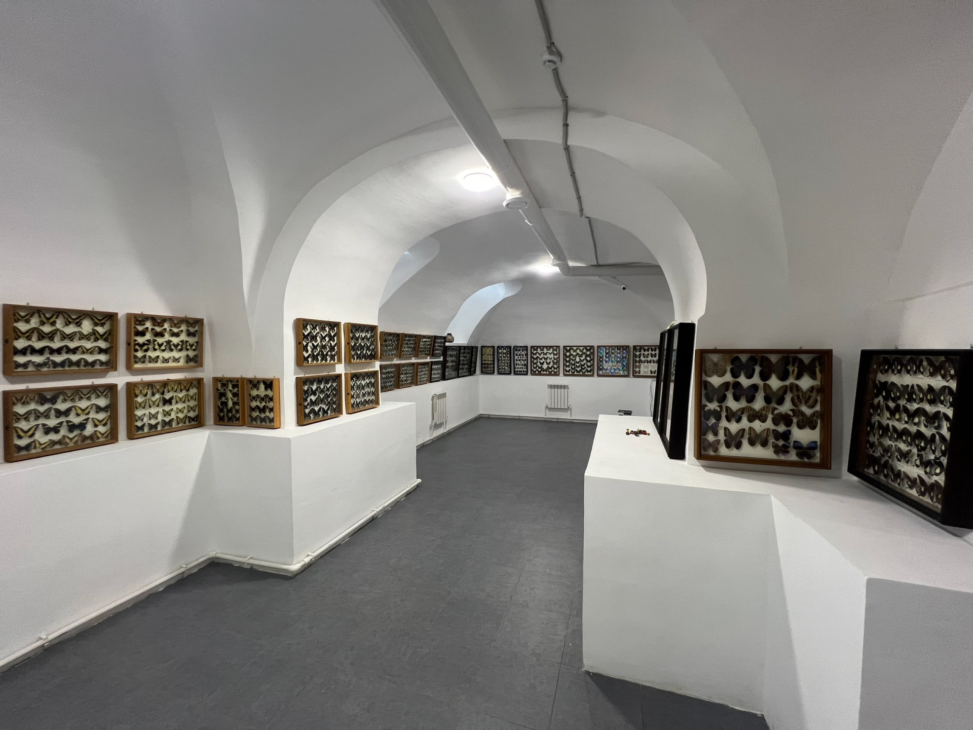 Фото: Музей