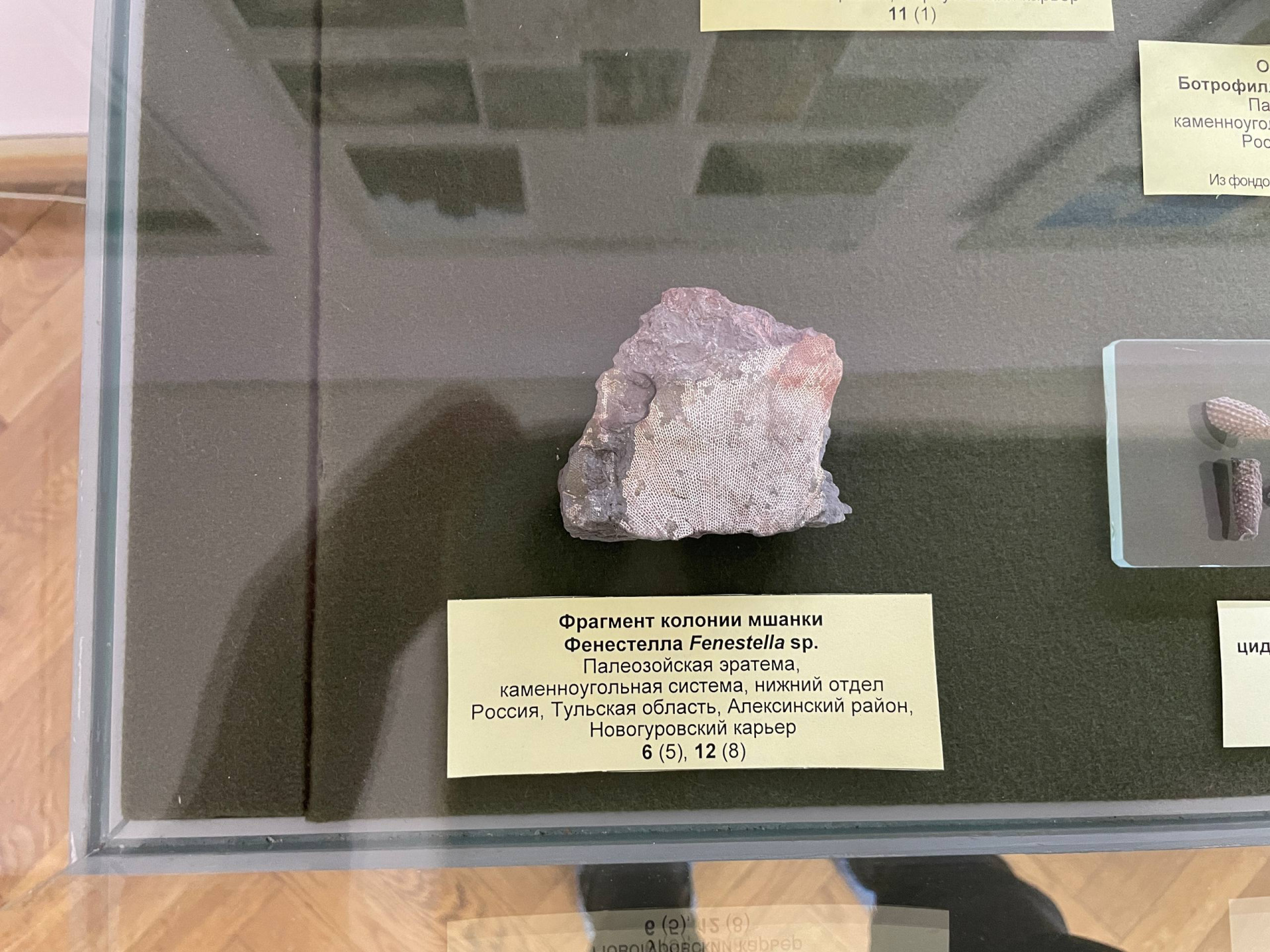 Фото: Тульская служба новостей