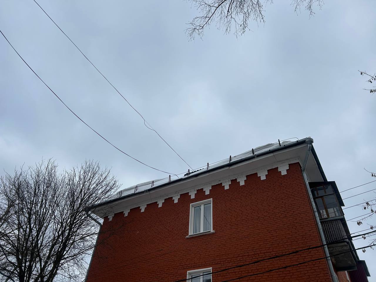 Фото: Тульская служба новостей