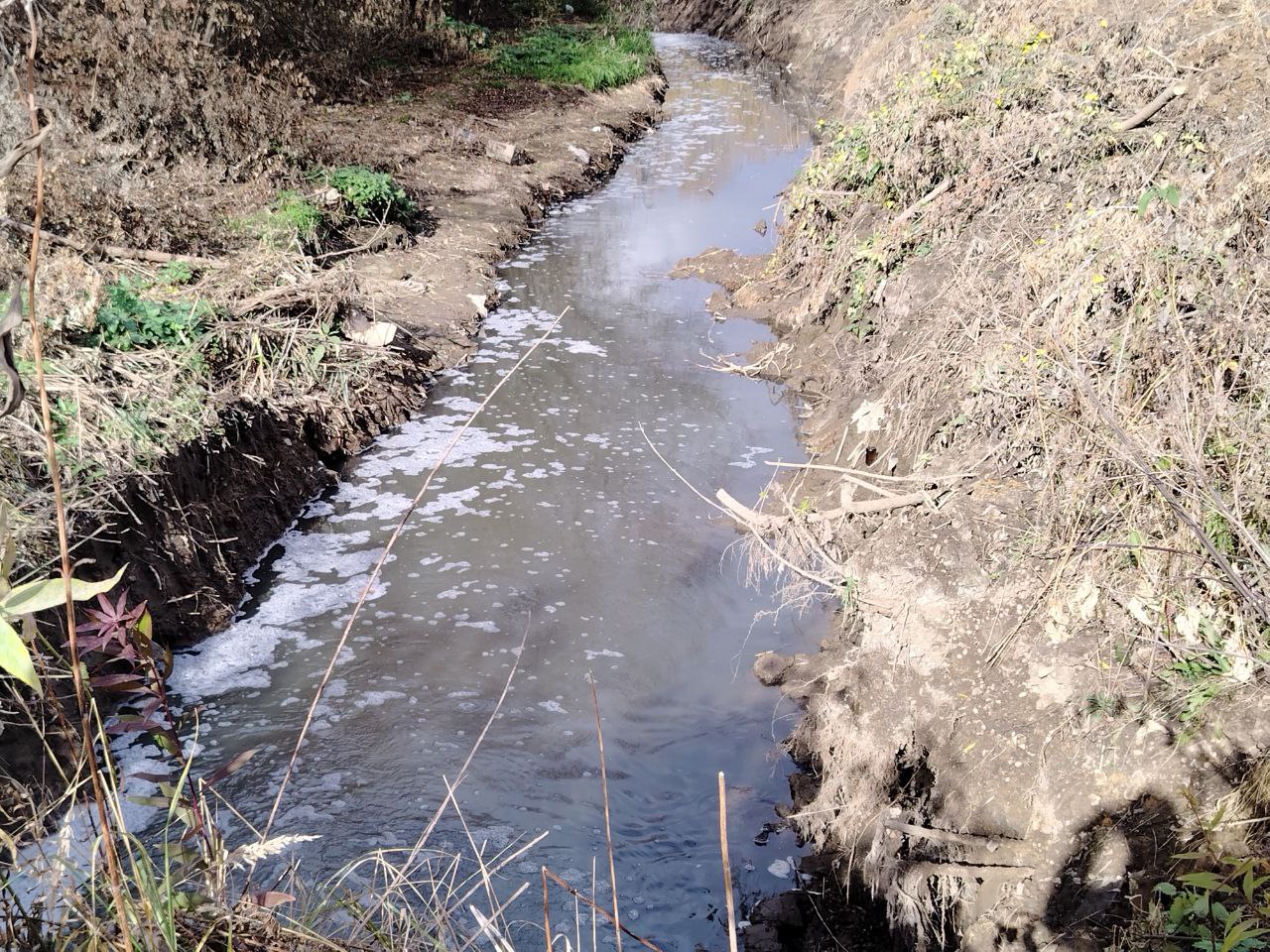 Фото: Тульская служба новостей