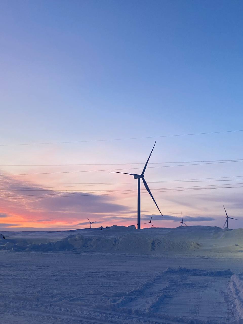 Фото: Тульская служба новостей