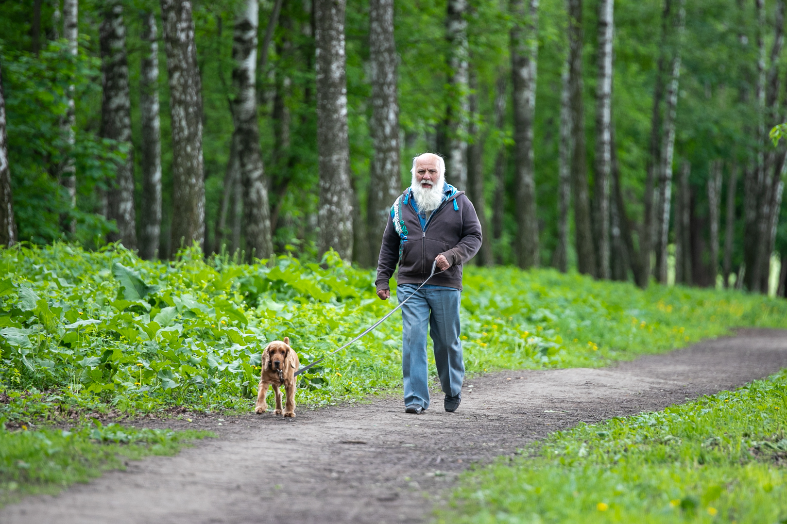 Фото из архива ТСН24