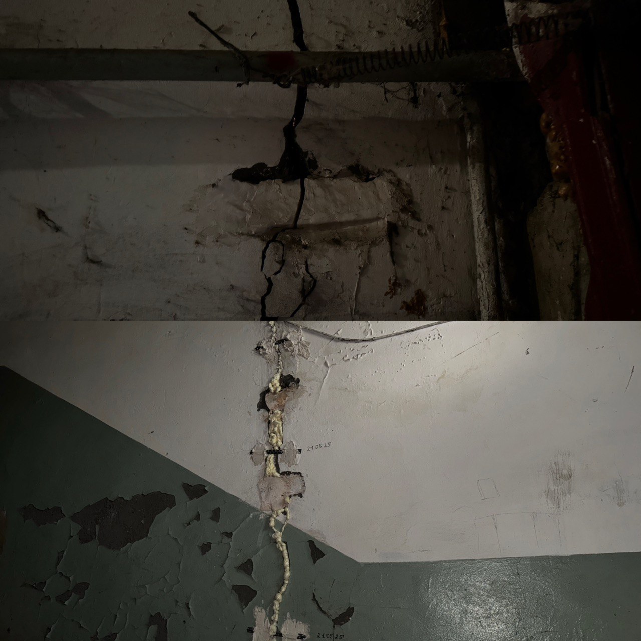 Фото: Тульская служба новостей