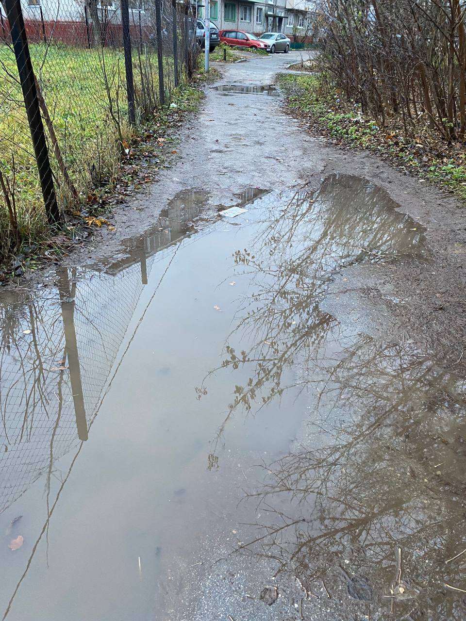 Фото: Тульская служба новостей