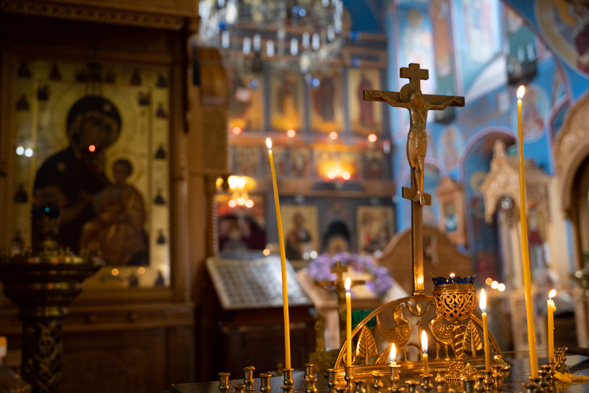 Фото: Тульская служба новостей