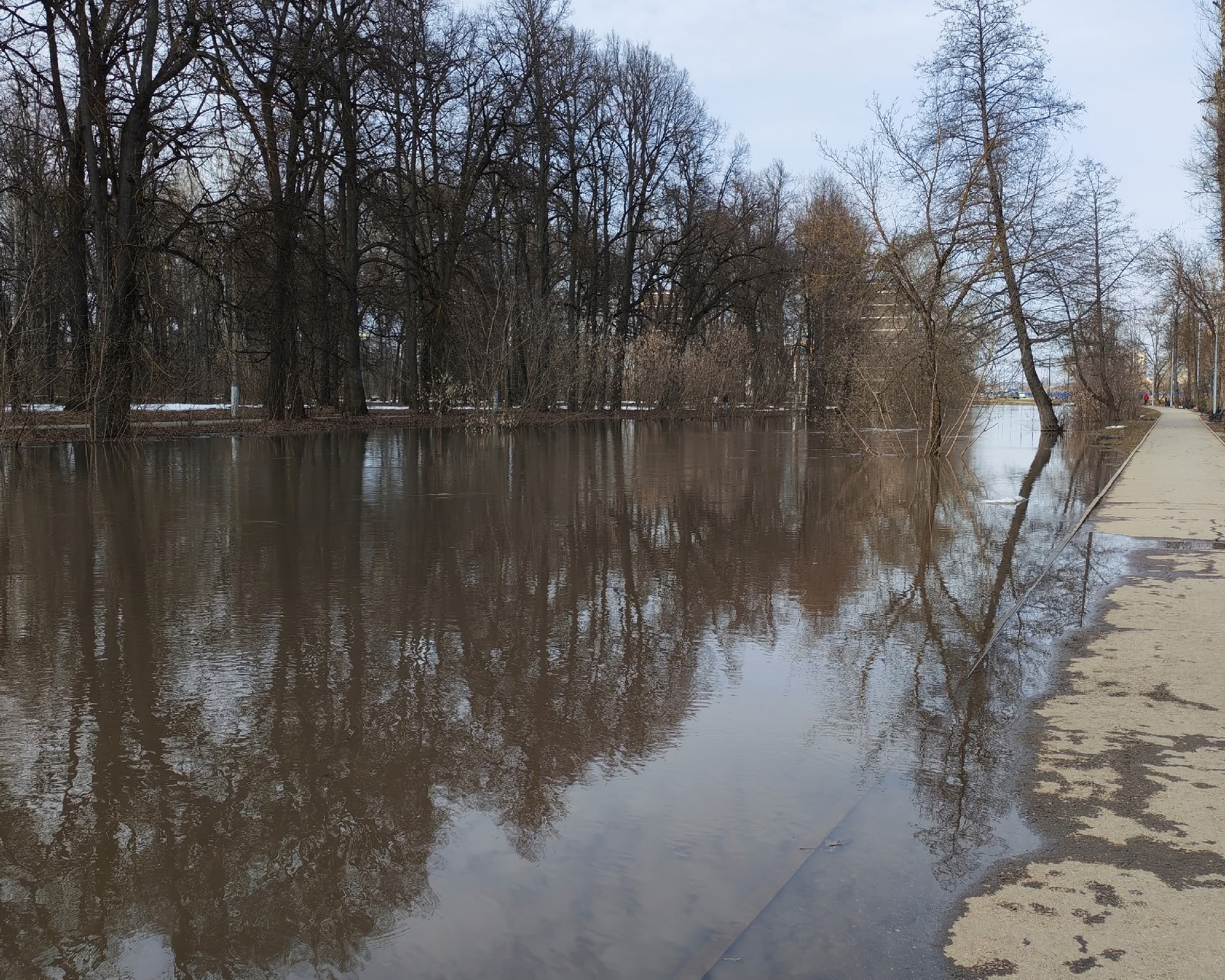 Фото: Тульская служба новостей