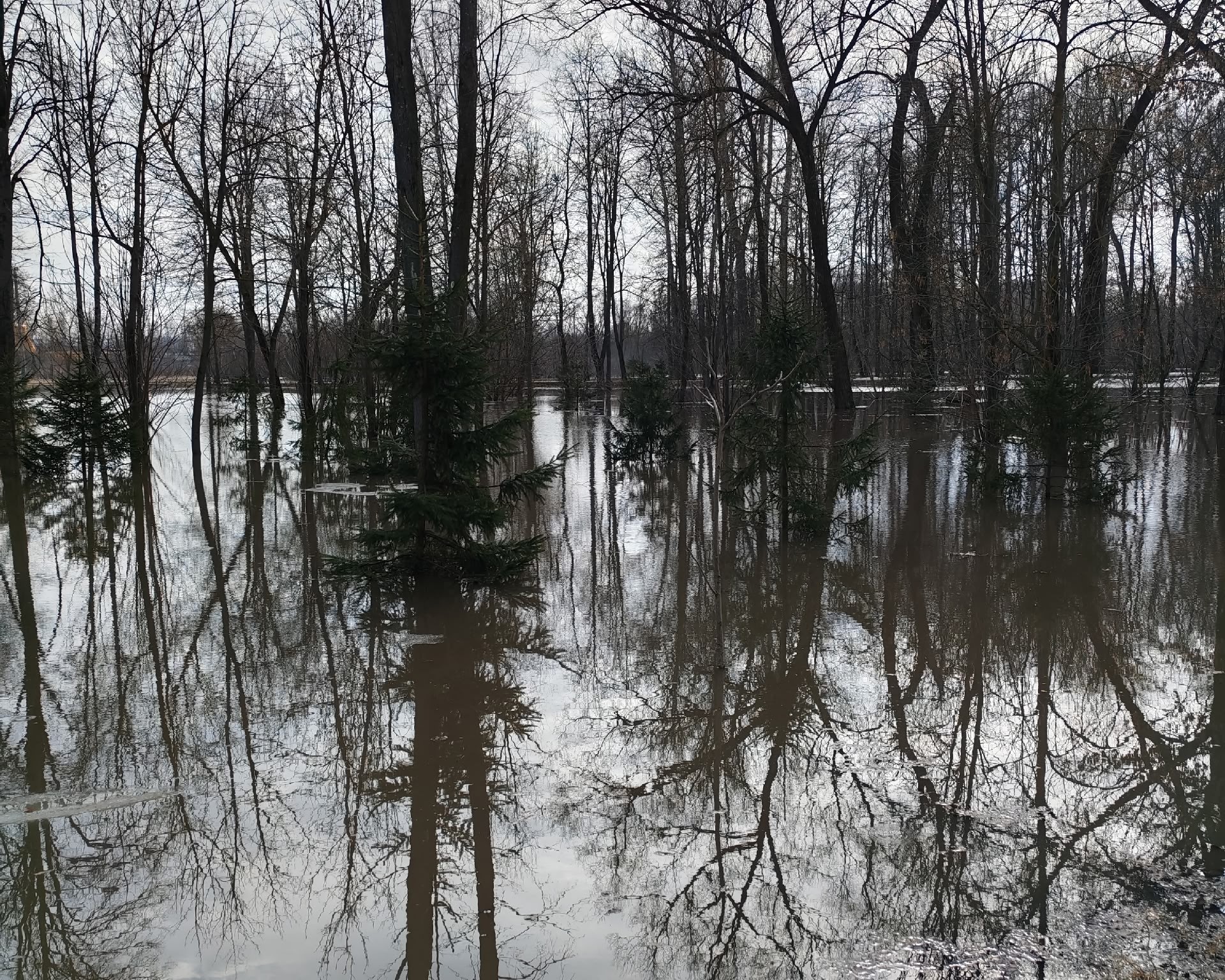 Фото: Тульская служба новостей
