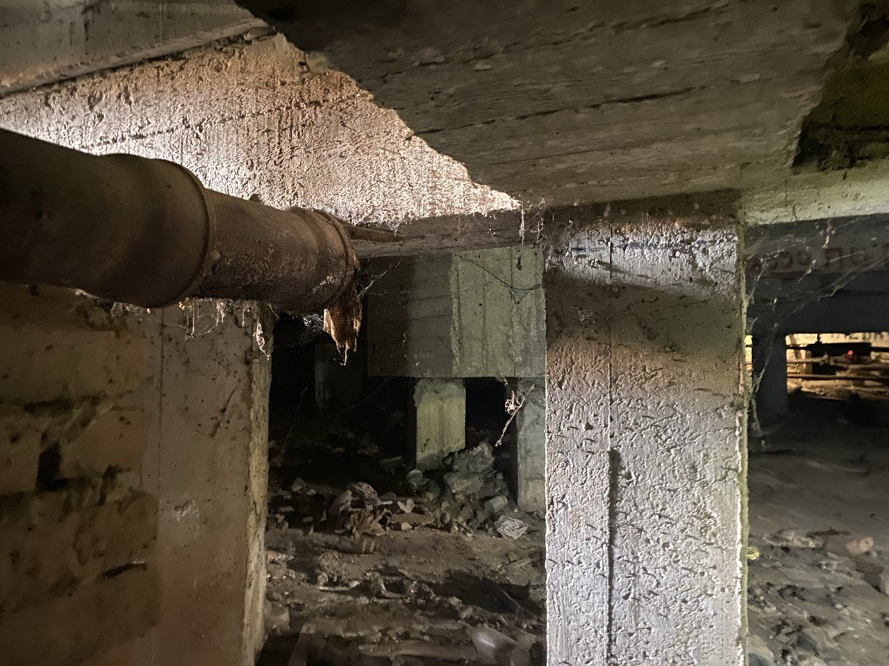 Фото: Тульская служба новостей