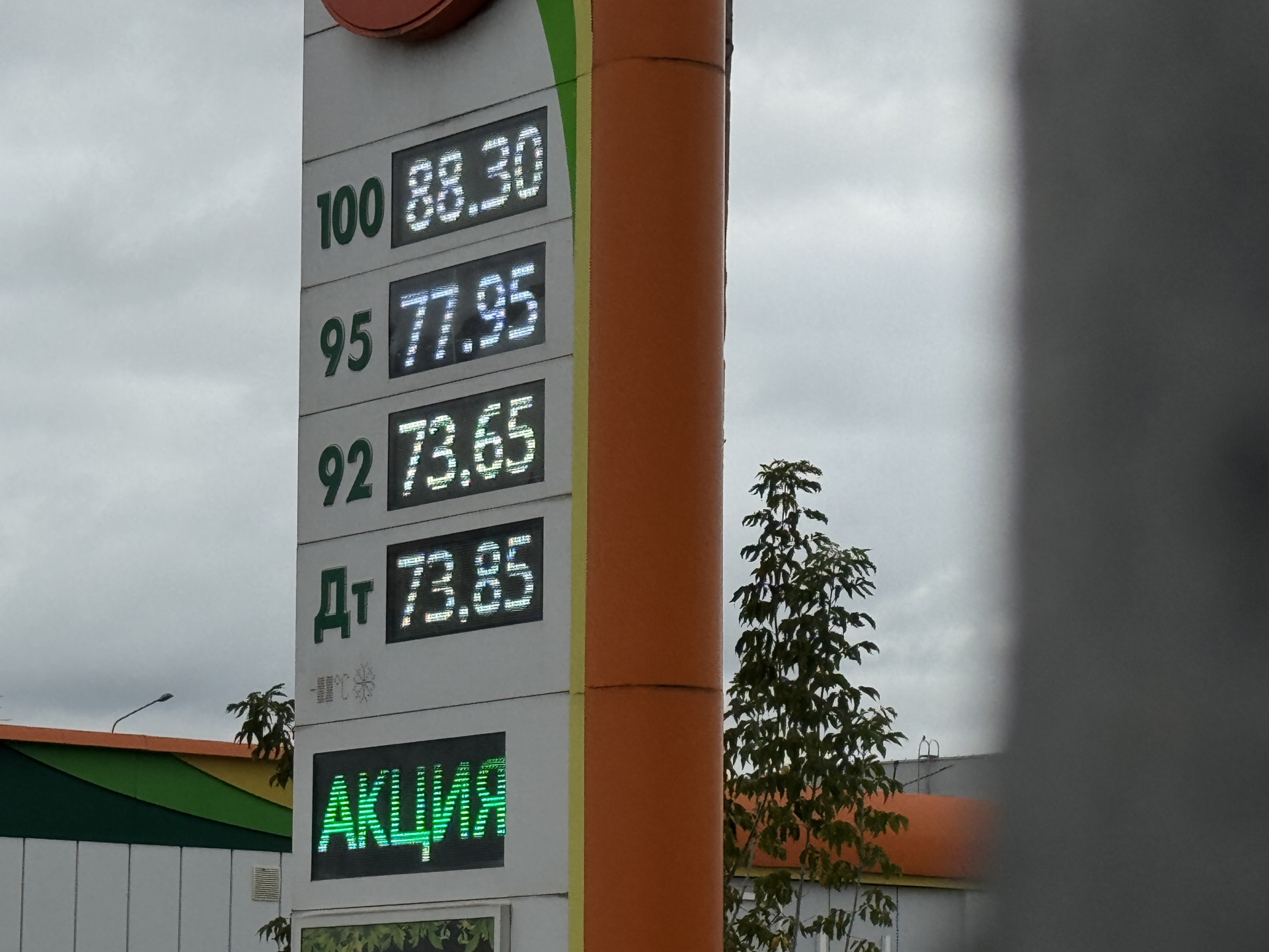 Фото: Тульская служба новостей