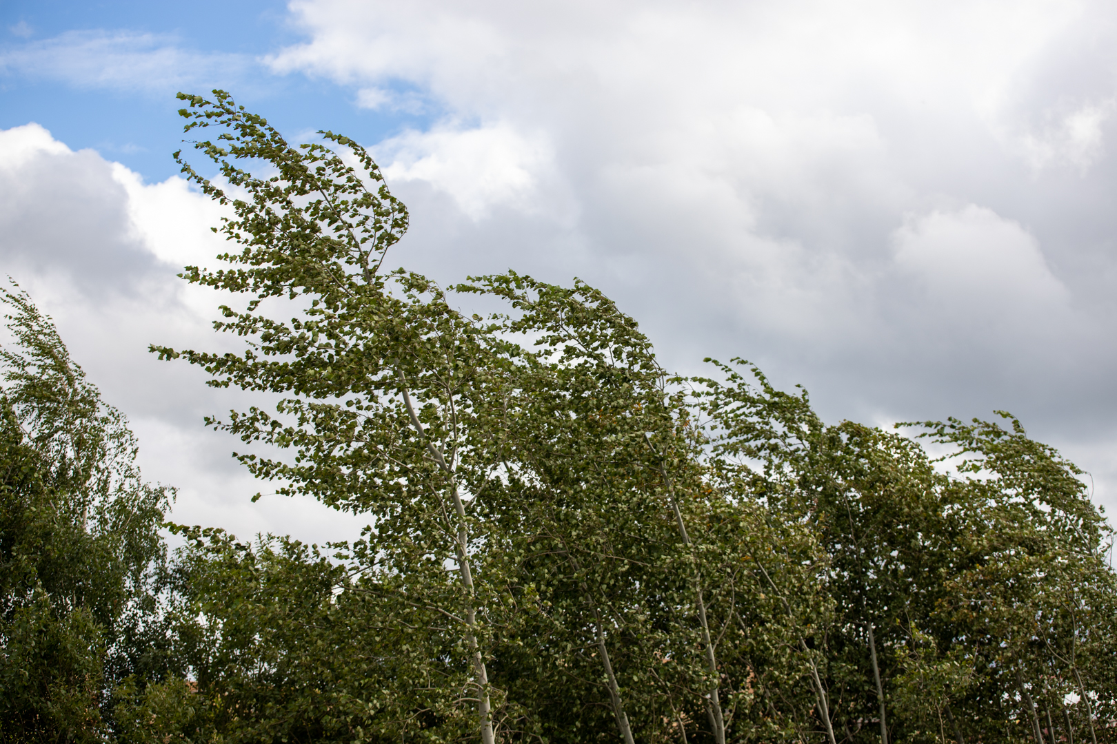 Фото из архива ТСН24