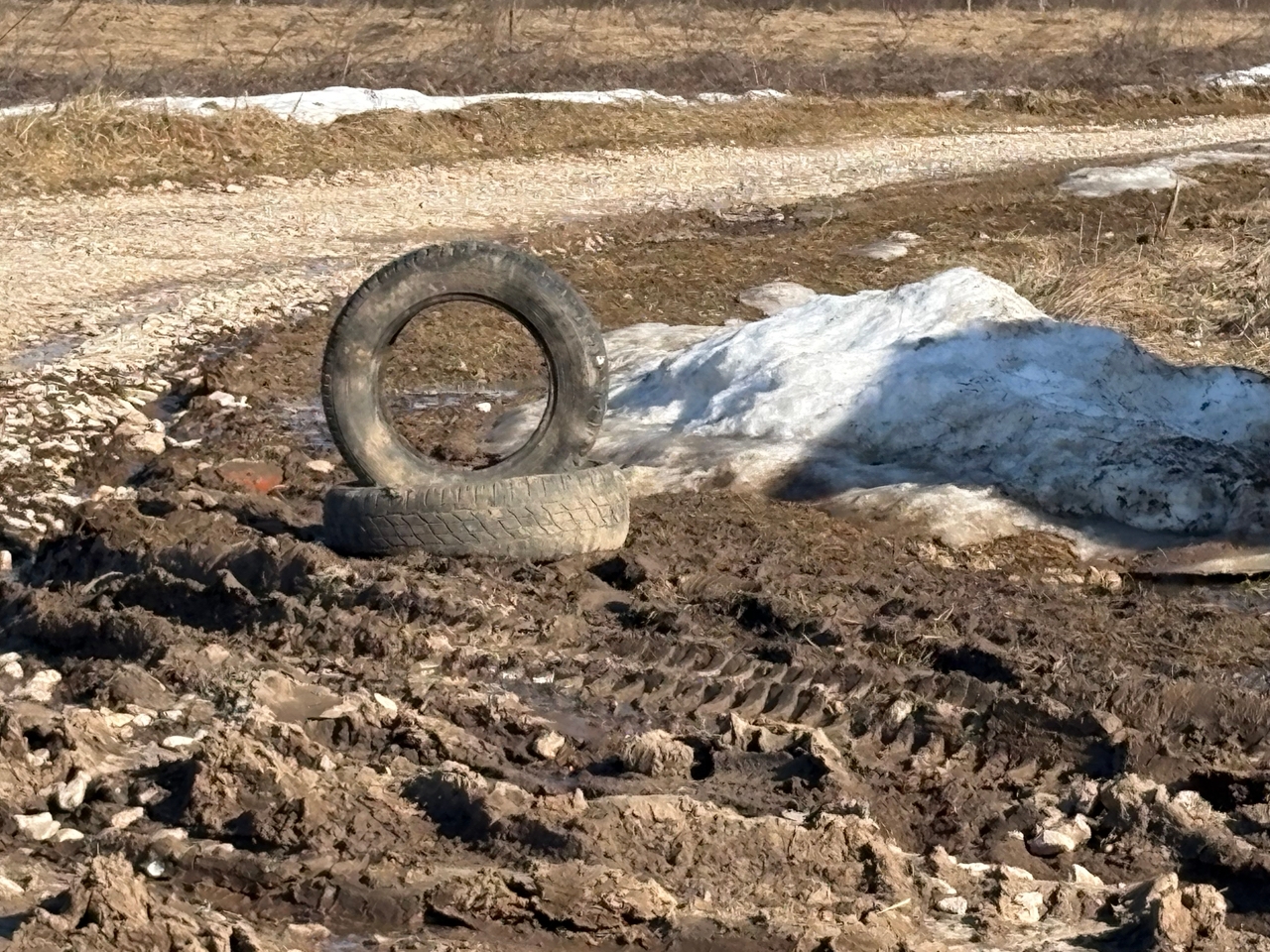 Фото: Тульская служба новостей