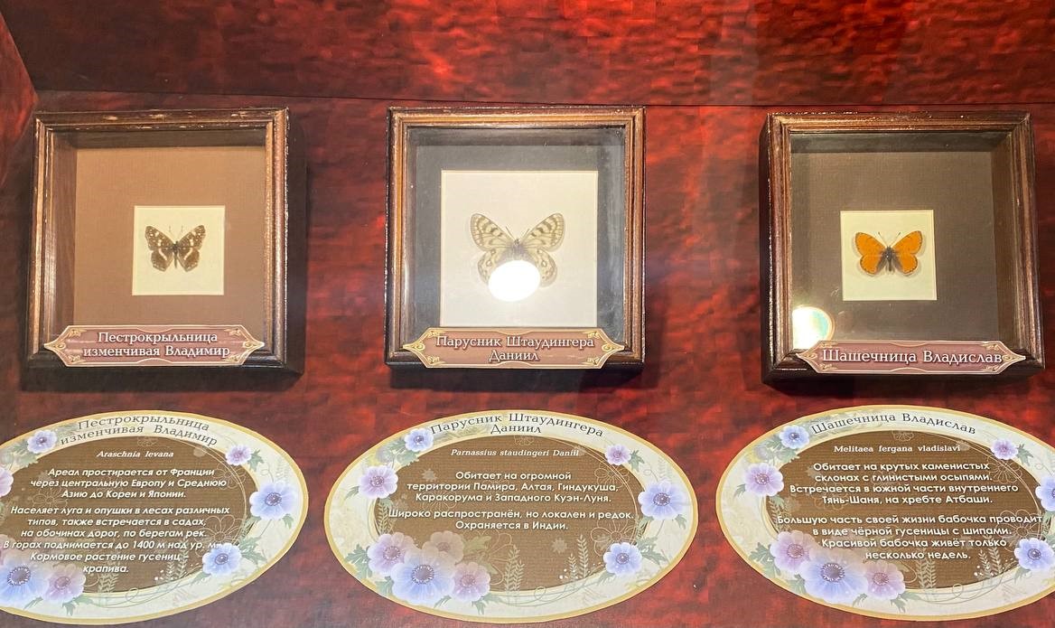 Фото: Тульская служба новостей