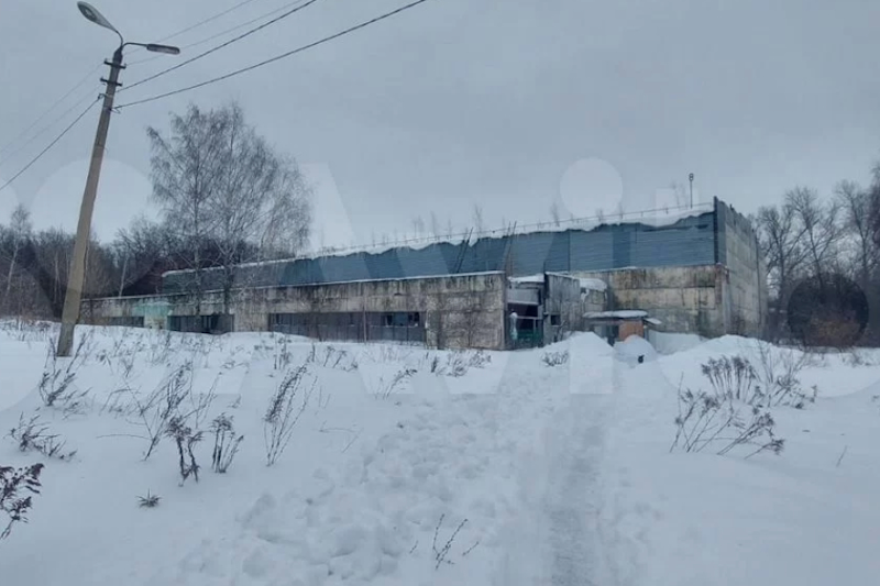 Фото: «Авито»