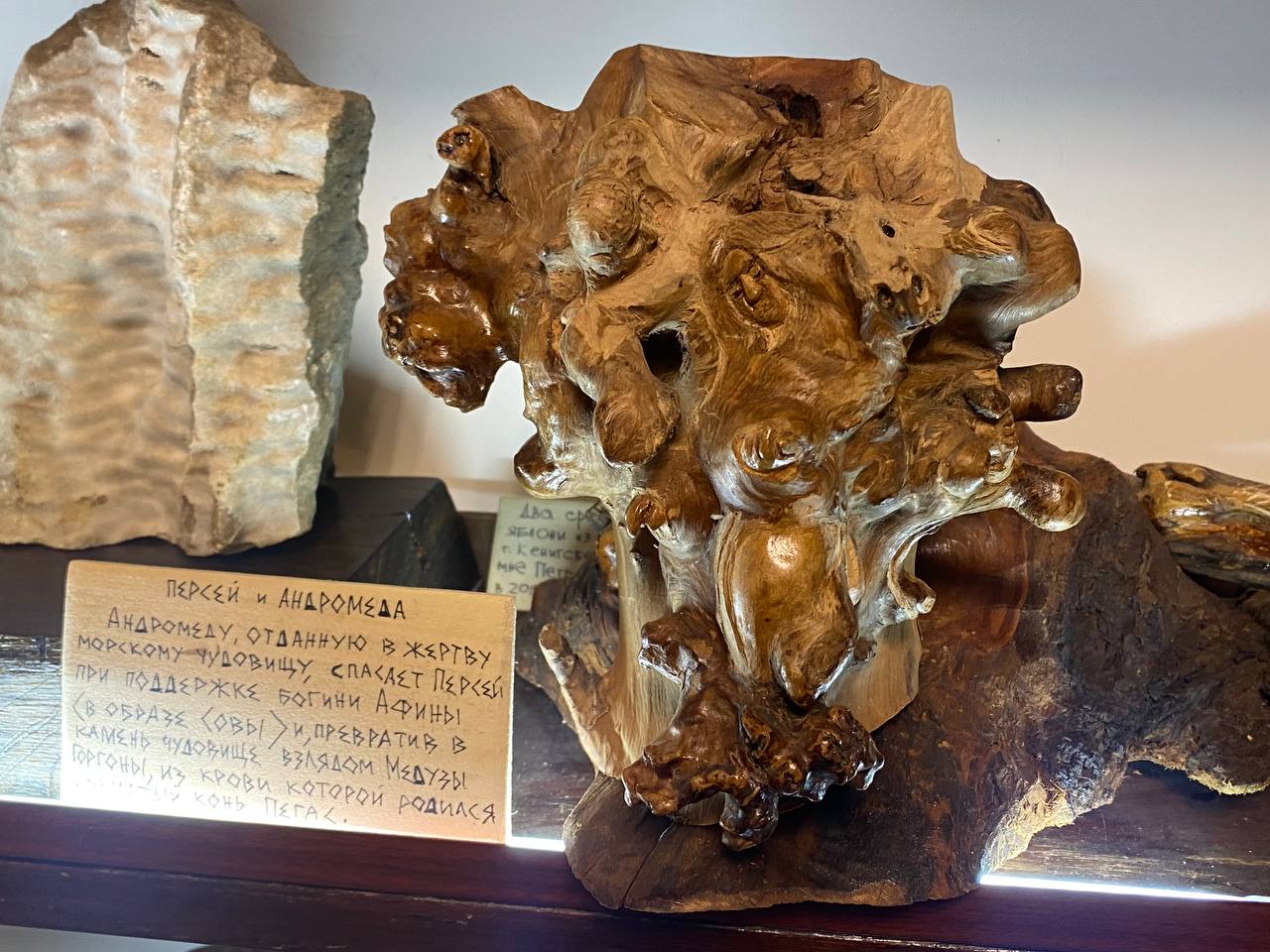 Фото: Тульская служба новостей