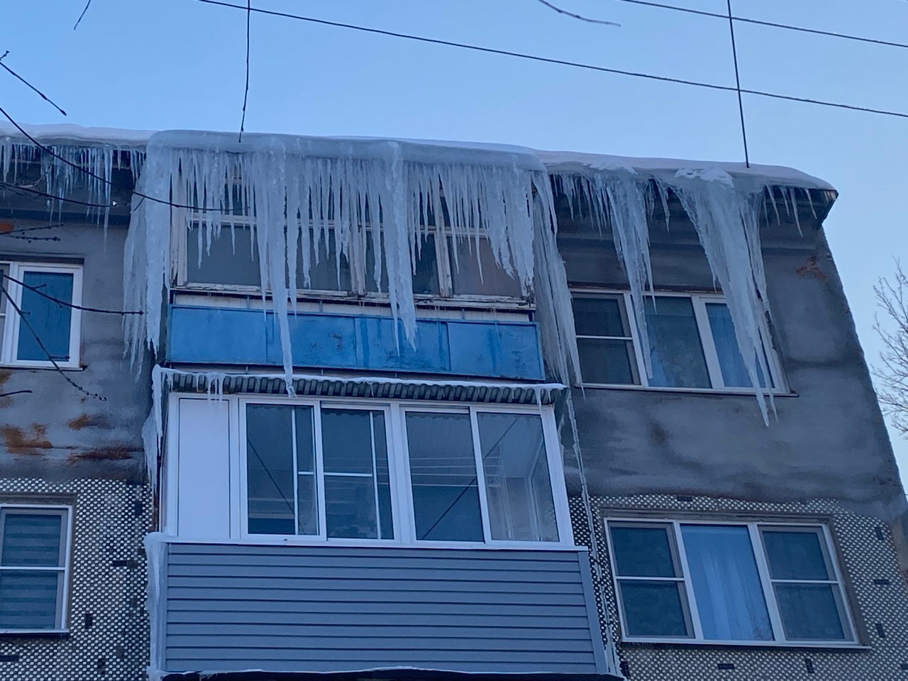 Фото: Тульская служба новостей 