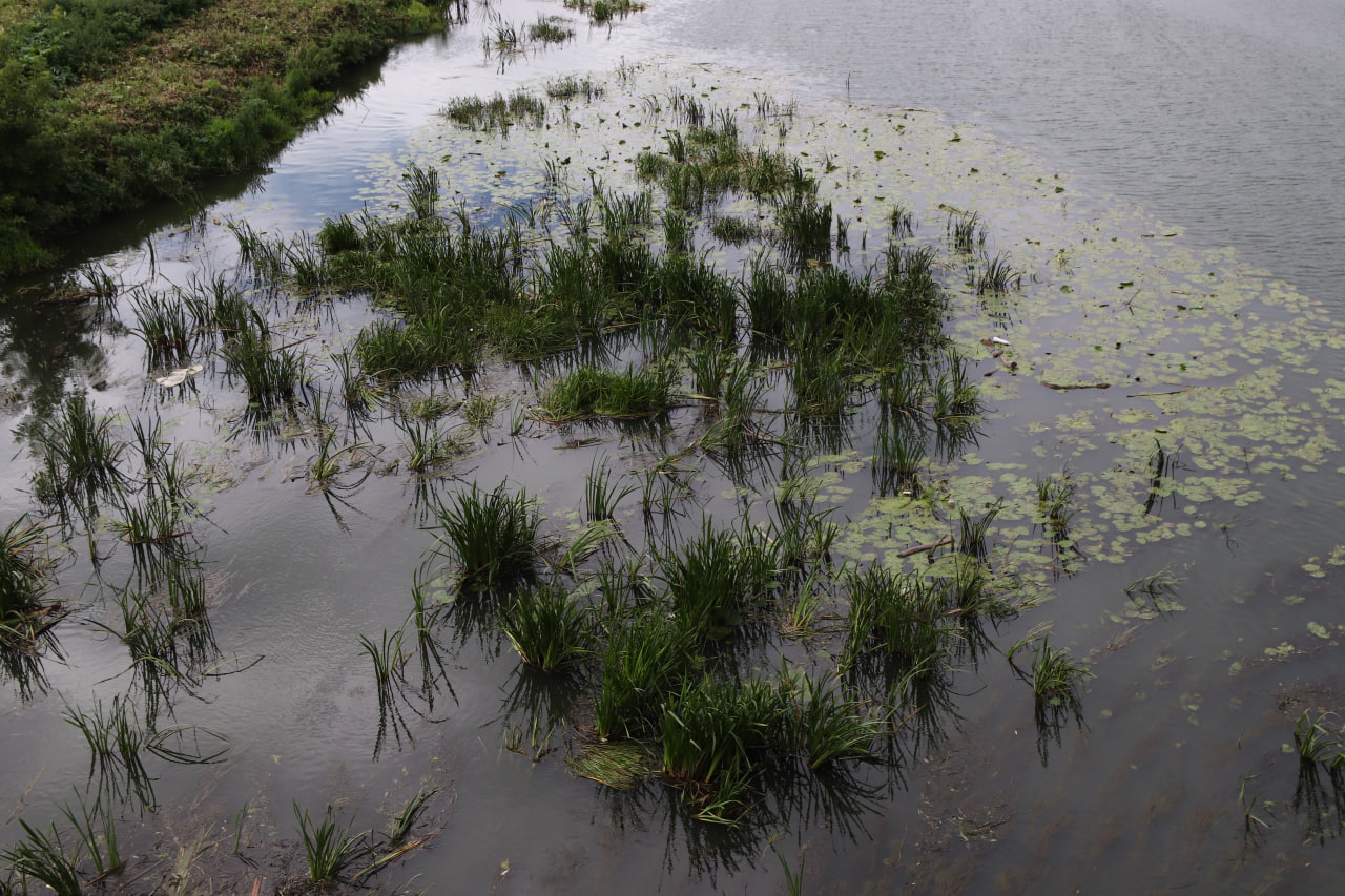 Фото: Тульская служба новостей
