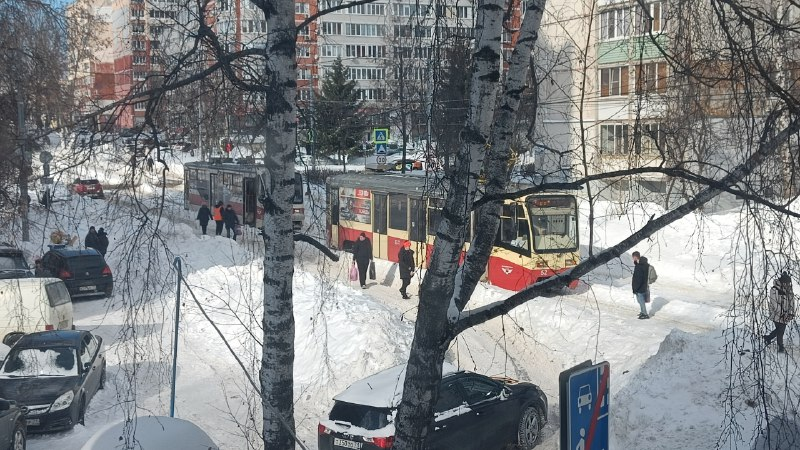 Фото: Тульская служба новостей