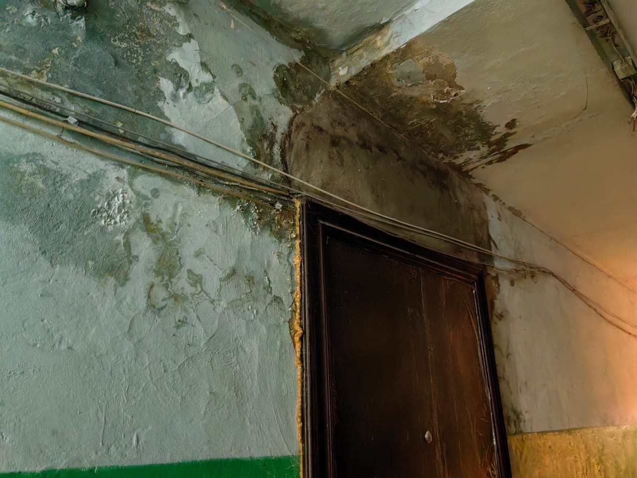 Фото: предоставлено жильцами дома