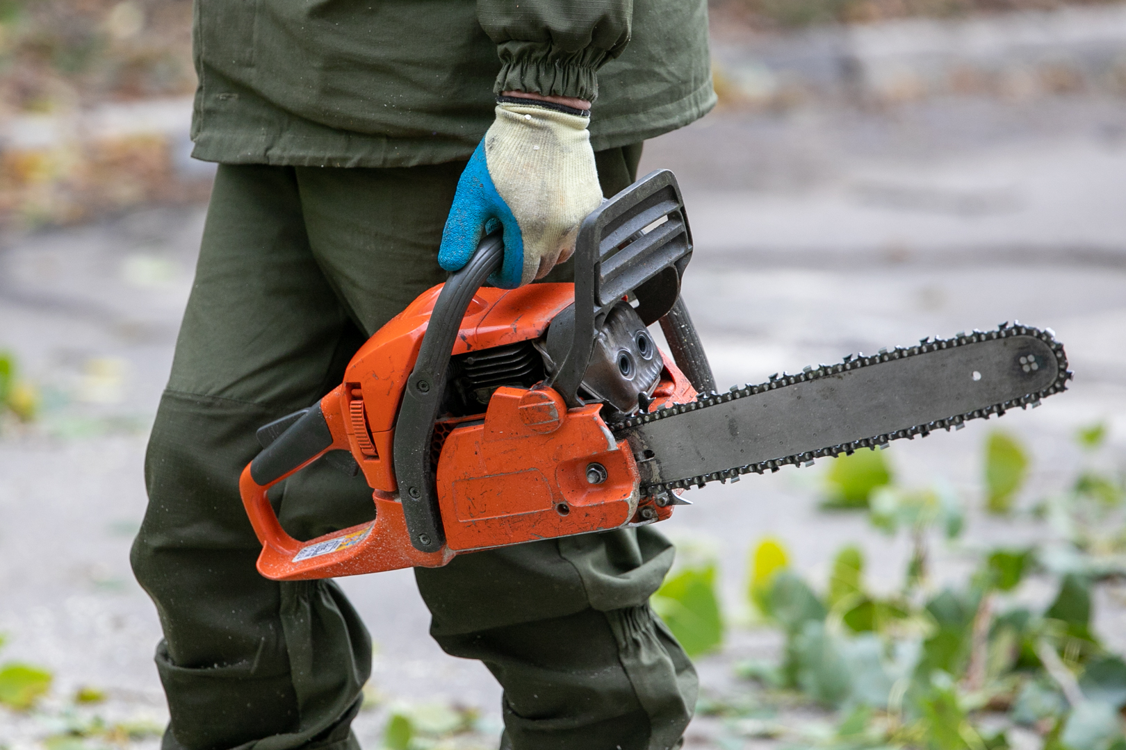 Фото из архива ТСН24