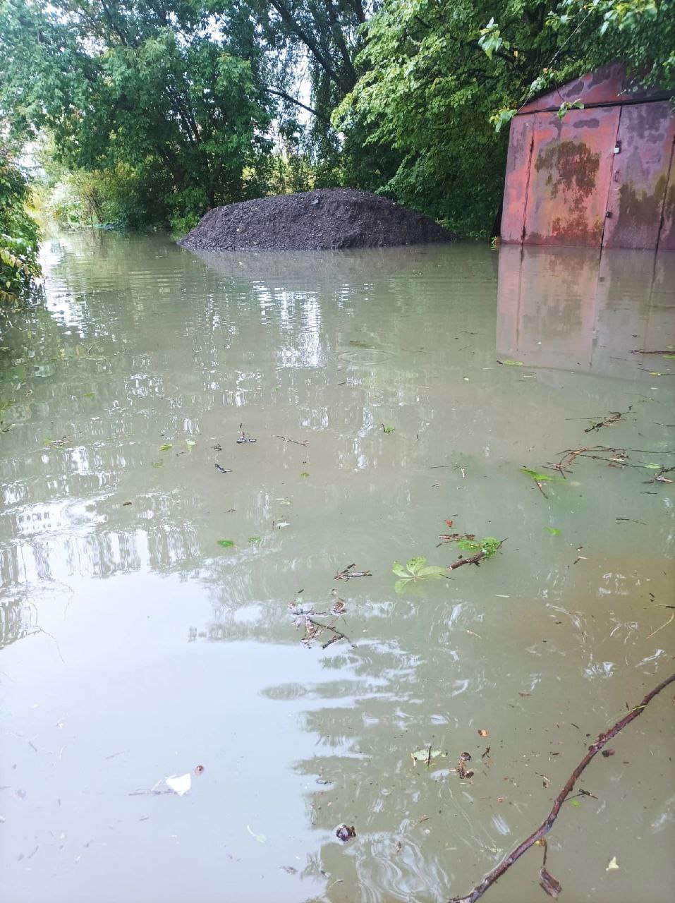 Фото: Тульская служба новостей