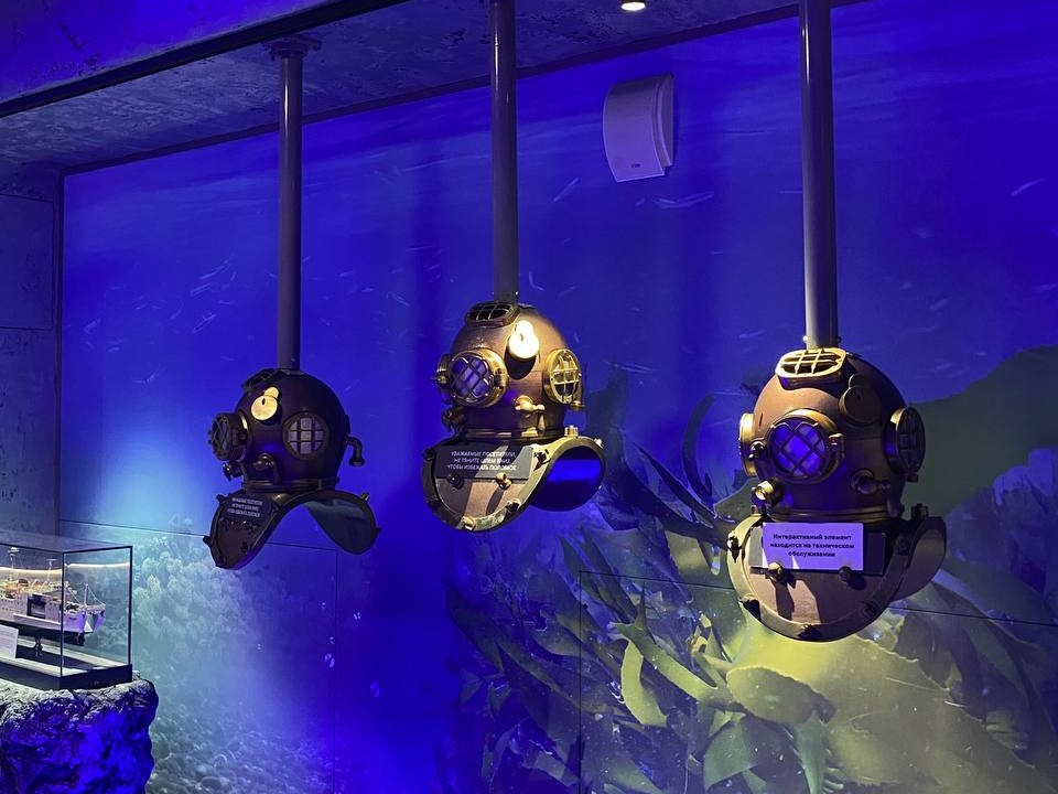 Фото: Тульская служба новостей