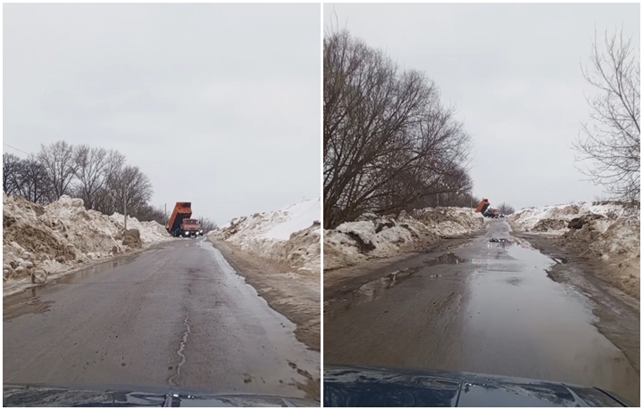 Фото: Татьяна Залищук