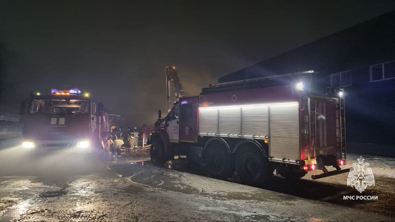 Фото: ГУ МЧС России по Тульской области