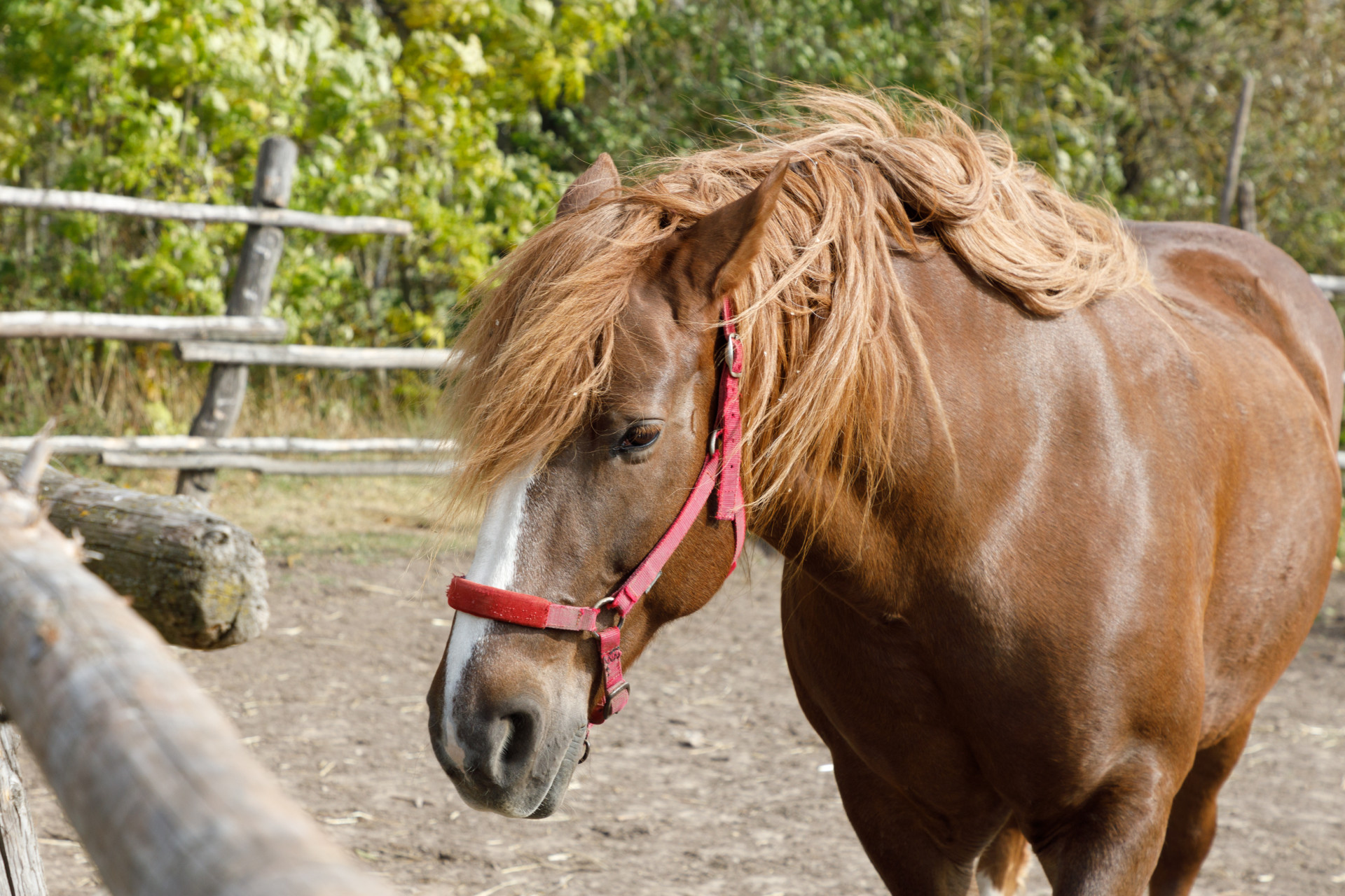 Фото: Тульская служба новостей