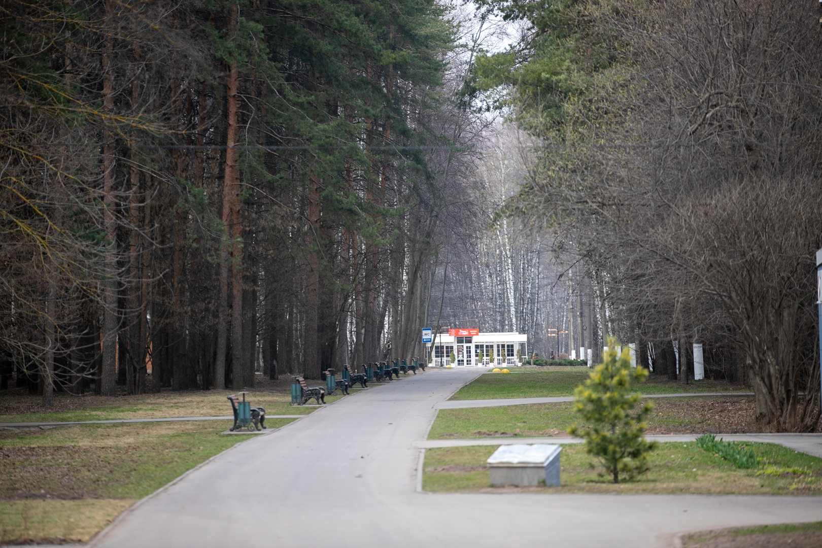 Фото: Тульская служба новостей
