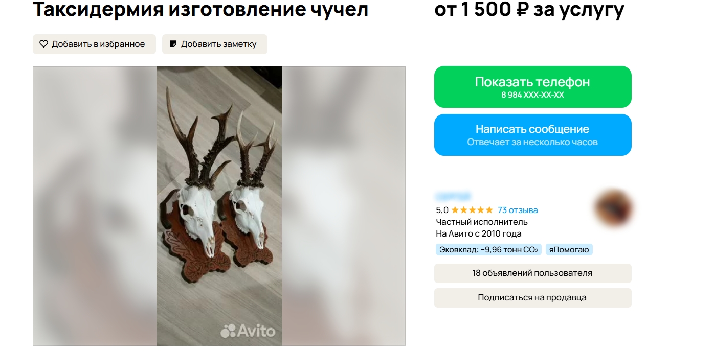 Снимок экрана с сайта 