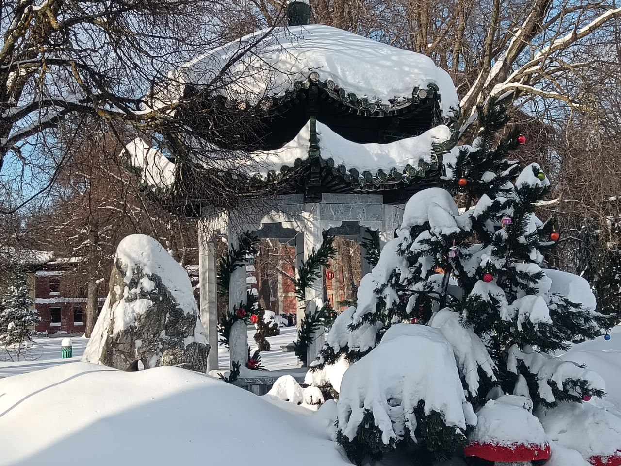 Фото: Тульская служба новостей