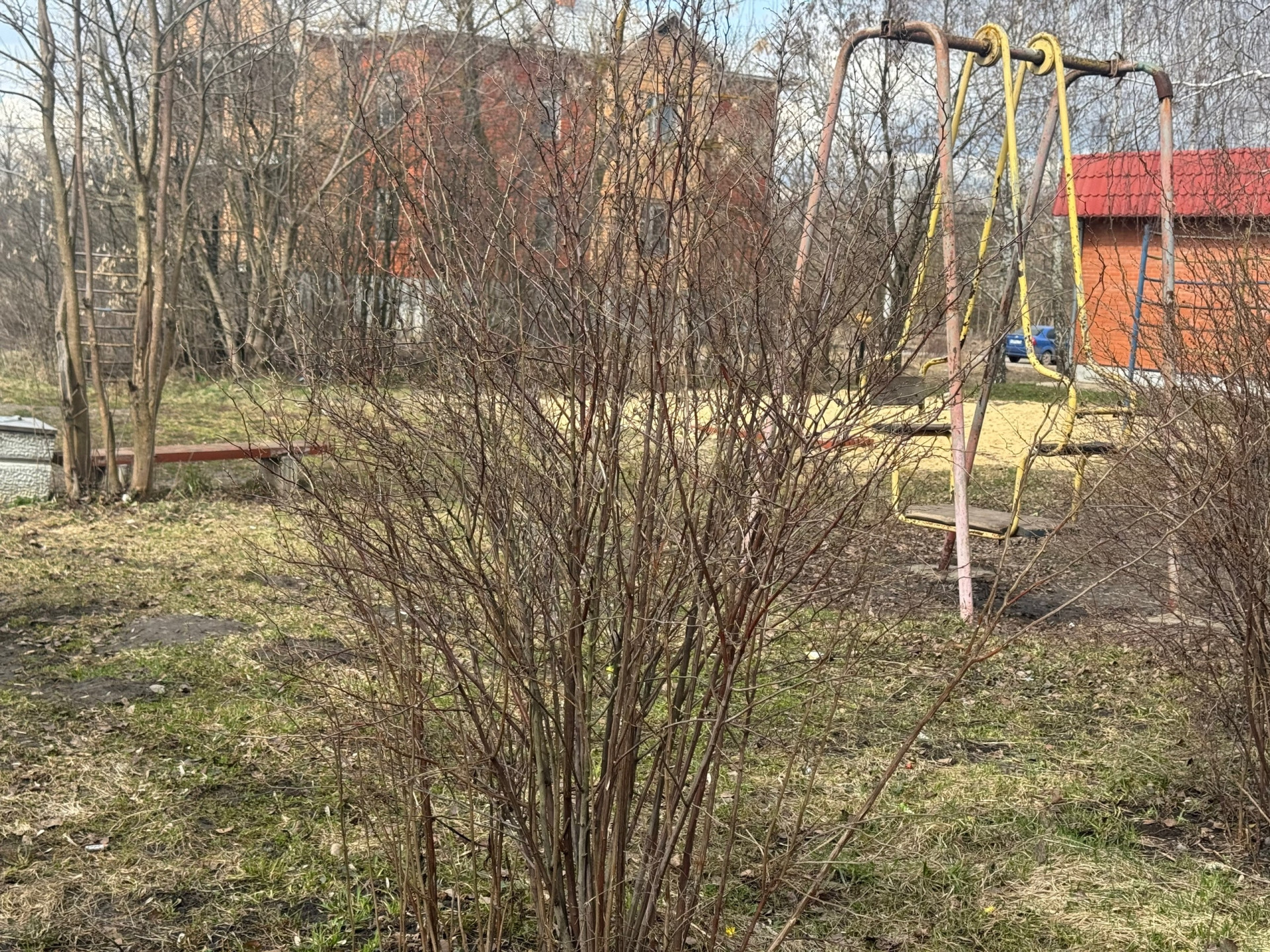 Фото: Елена Соловьева