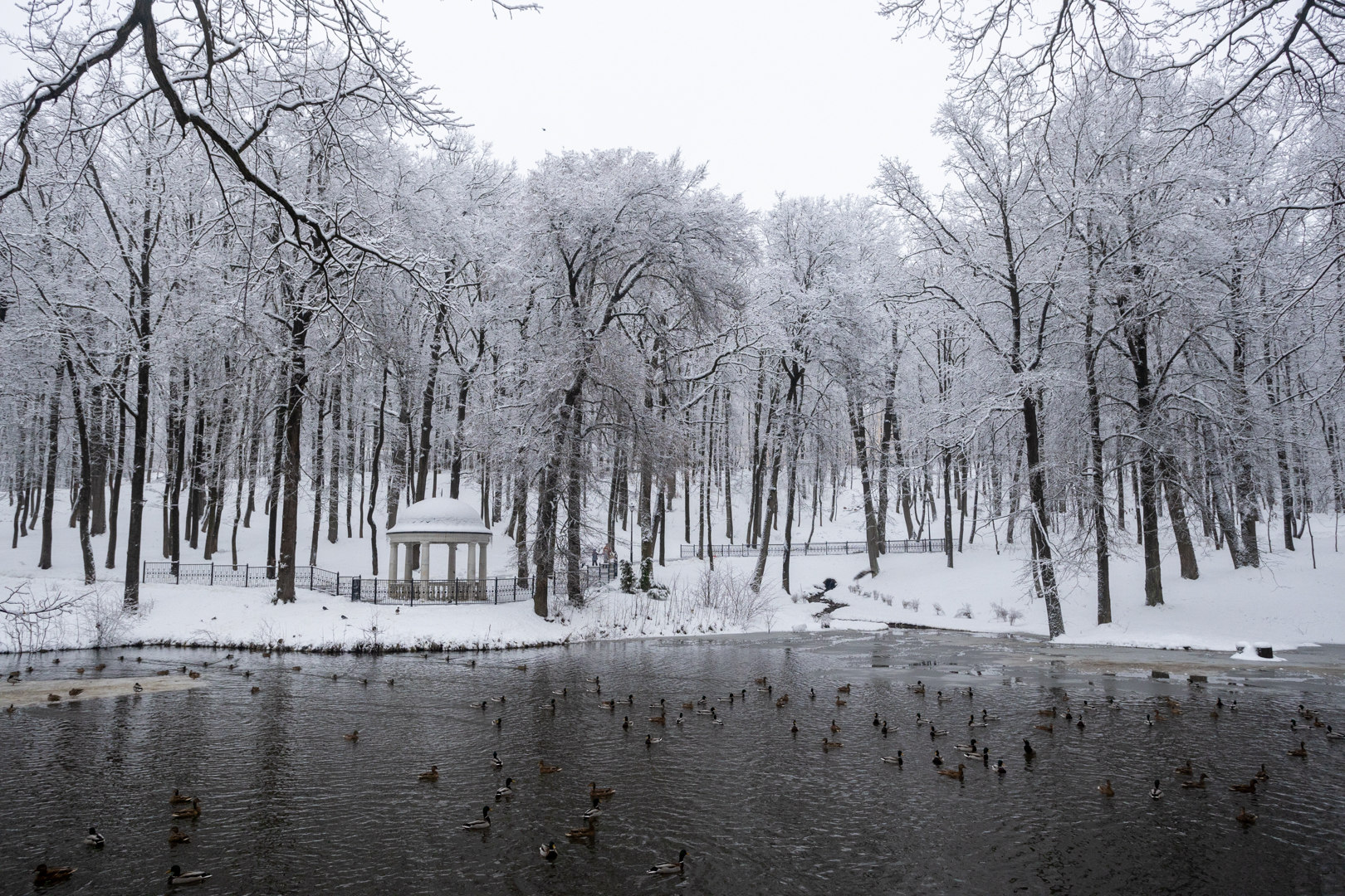 Фото: Тульская служба новостей