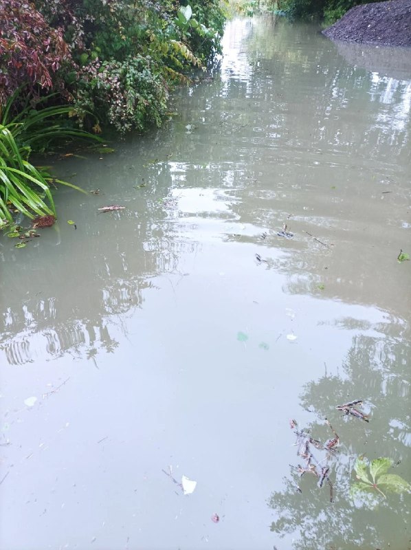 Фото: Тульская служба новостей