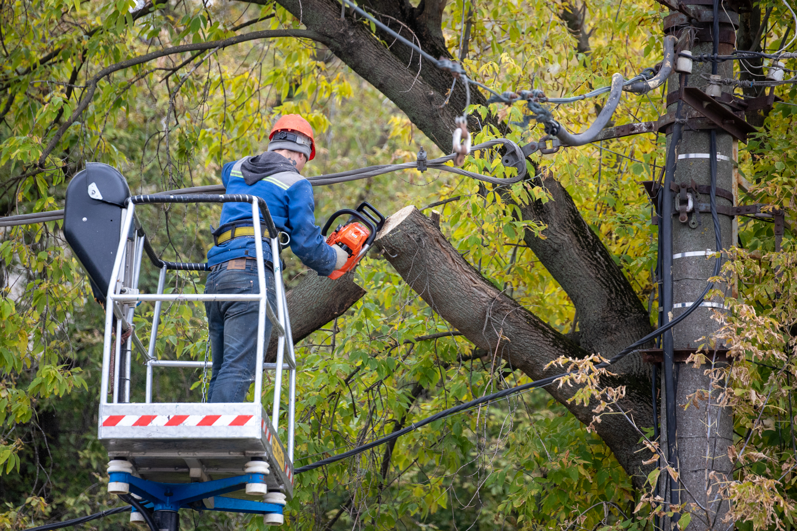 Фото из архива ТСН24
