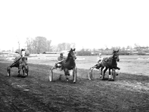 Фото предоставлено ГУ ТО “Тульские парки”