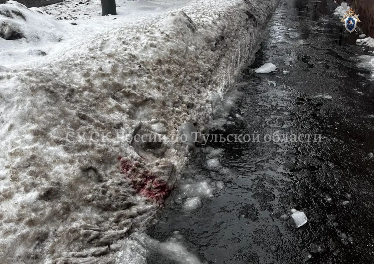 Фото: СУ СКР по Тульской области