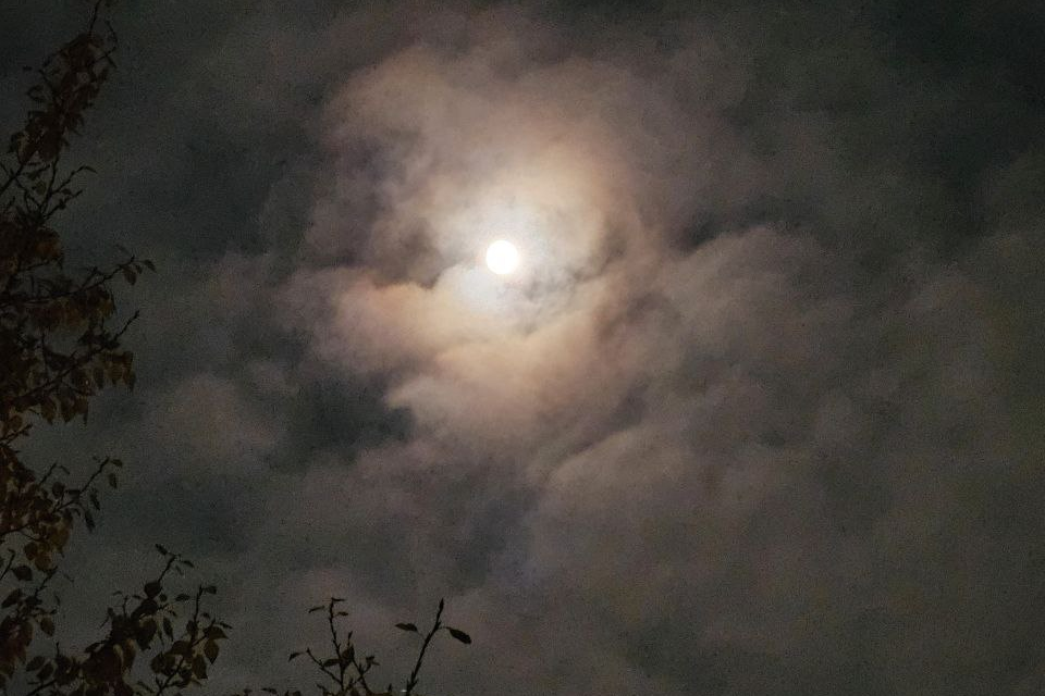 Фото: Тульская служба новостей