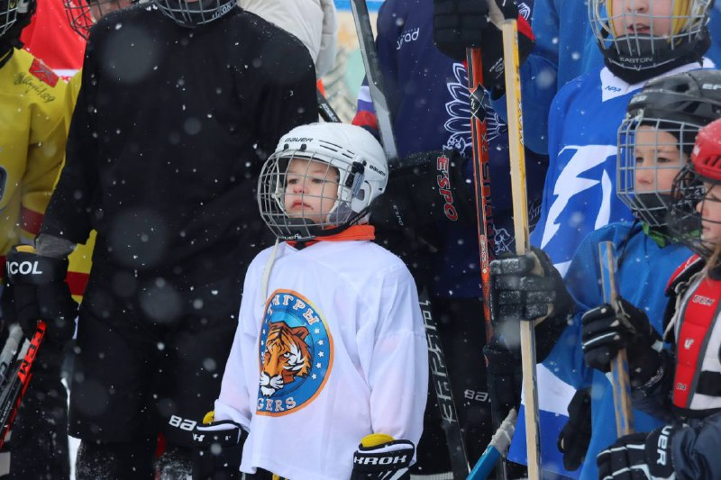 Фото: телеграм-канал Дмитрия Миляева