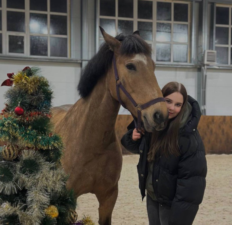 Фото: Тульская служба новостей