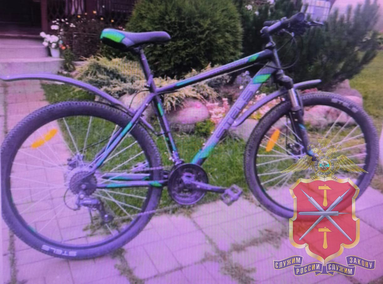 Фото: УМВД России по Тульской области