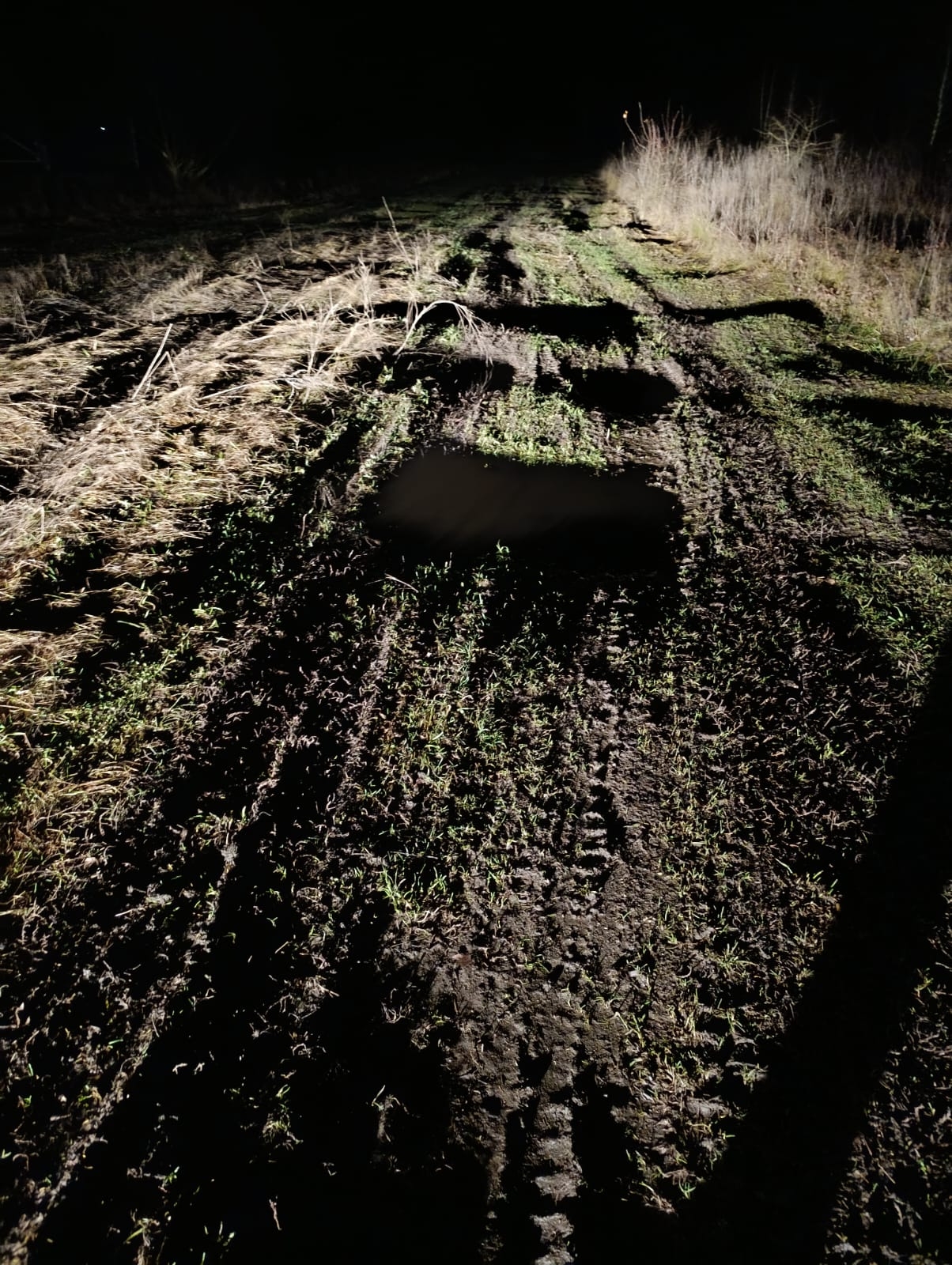 Фото предоставлено местными жителями.