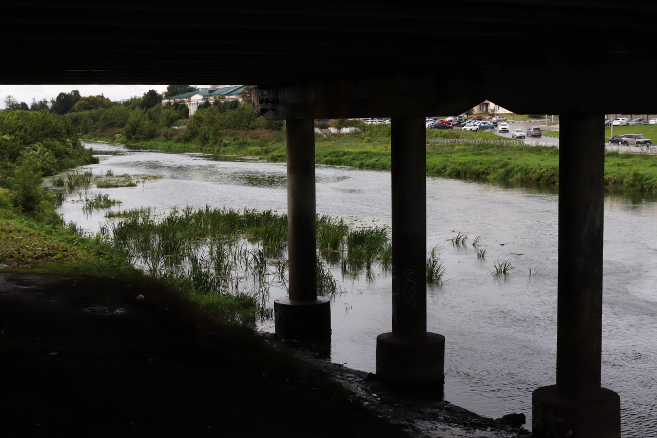 Фото: Тульская служба новостей