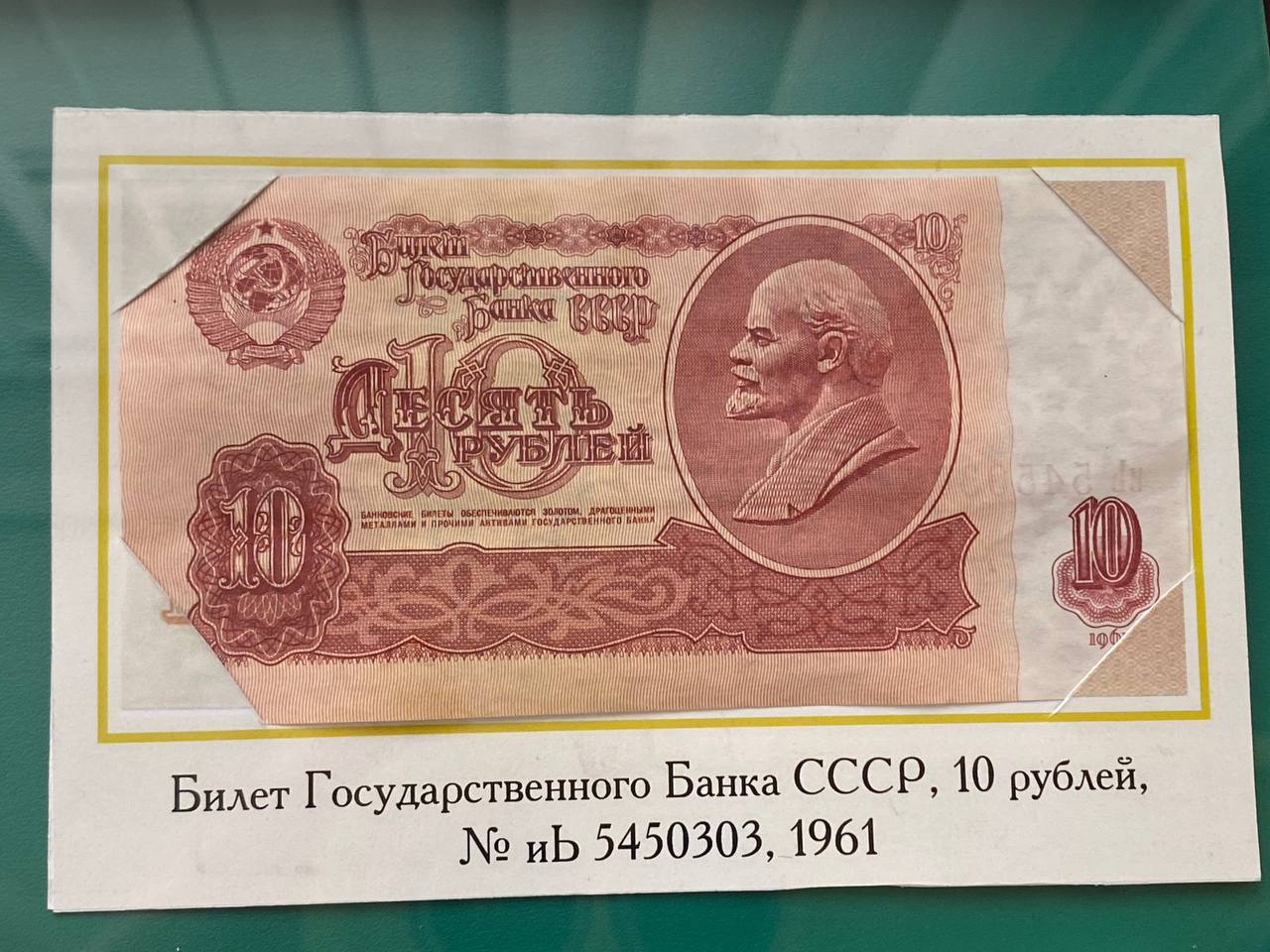 Фото: Тульская служба новостей