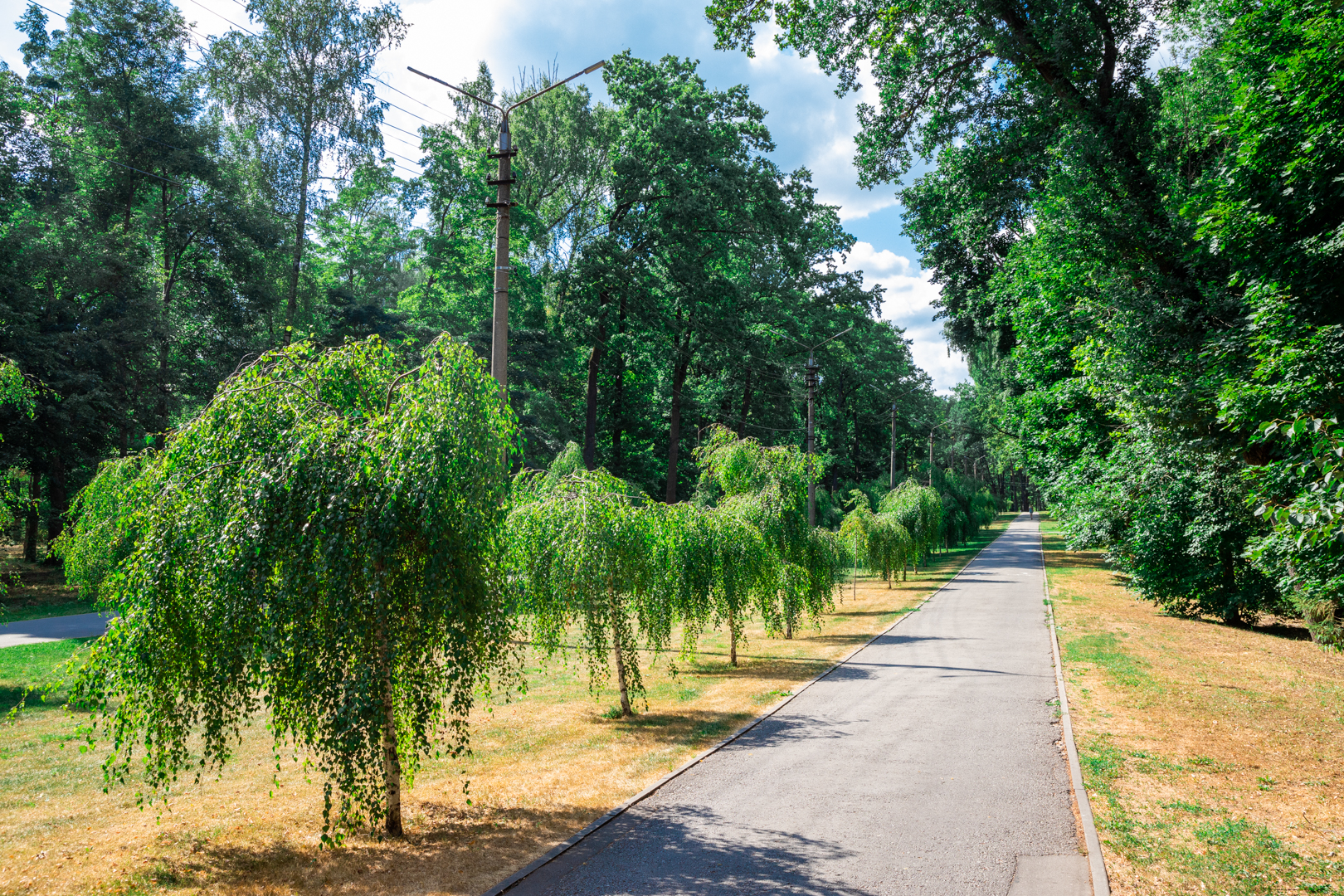 Фото из архива ТСН24