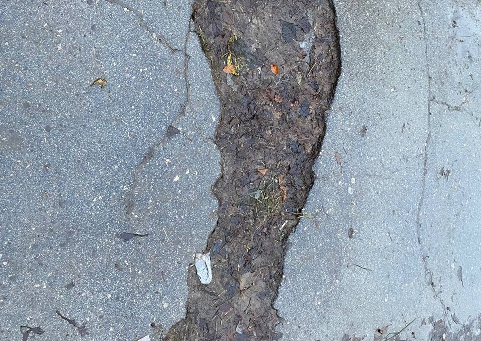 Фото: Тульская служба новостей