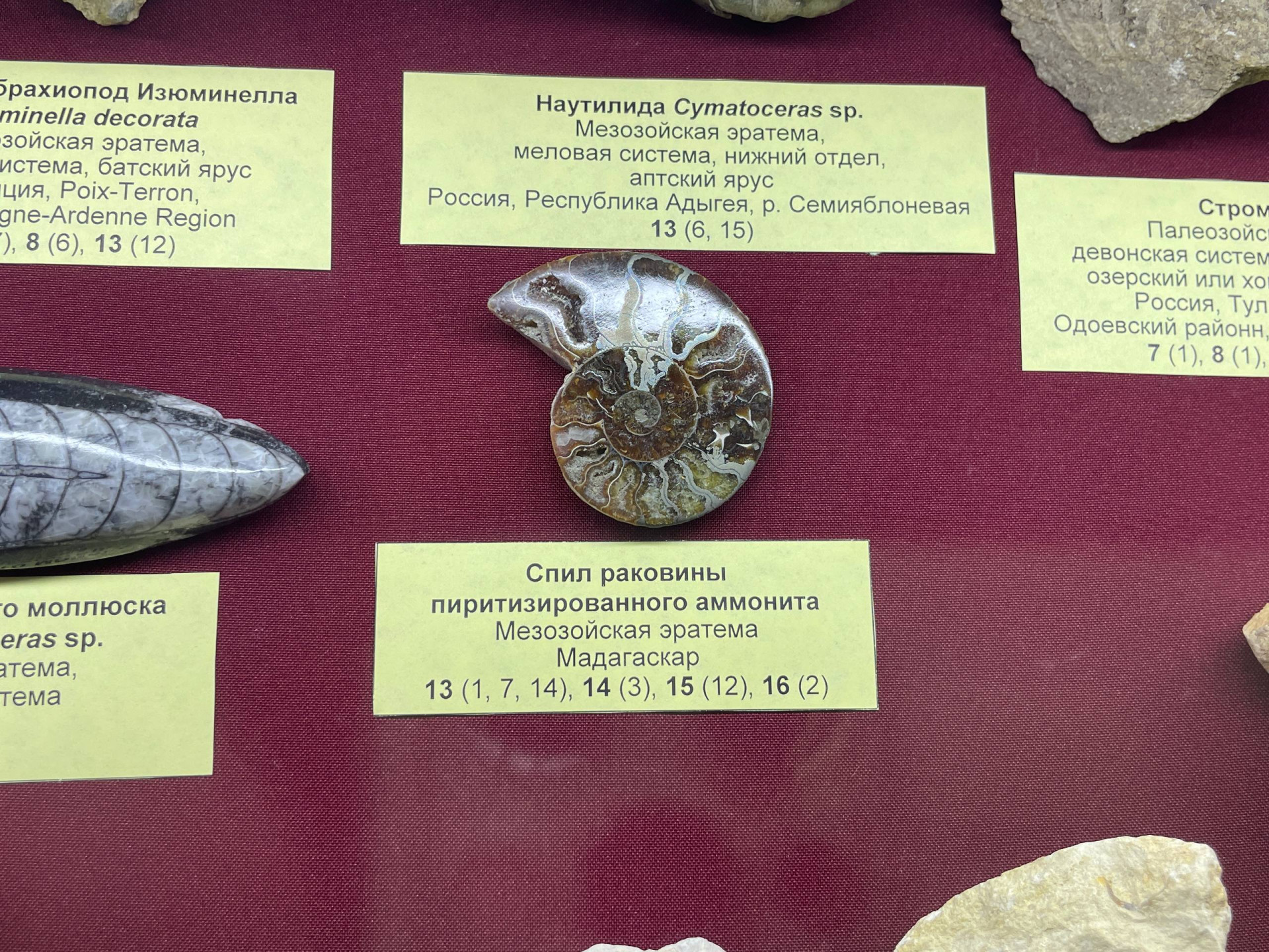 Фото: Тульская служба новостей