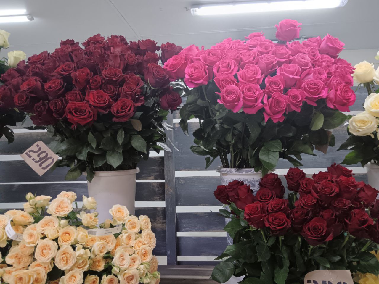 Фото: Тульская служба новостей